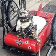 pugstorm